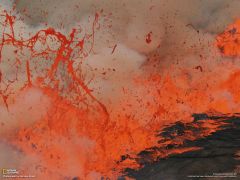Tapeta National Geographic 286.jpg
